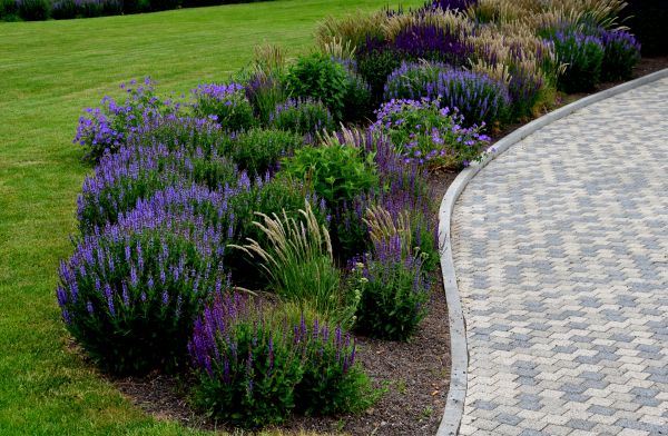 Cost of Sidewalk Curb Installation in Garland