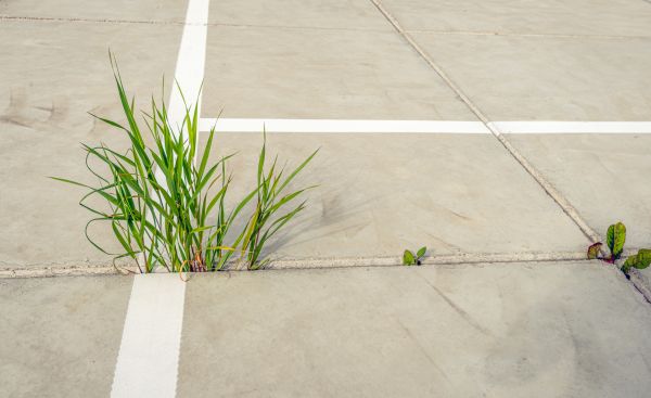 Cost of Concrete Parking Installation in Garland