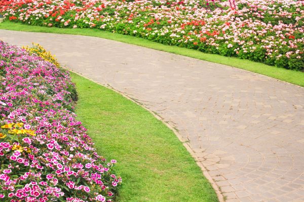 Cost of Concrete Walkway Service in Garland